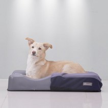 젠틀리머 펫베드 M 메모리폼 강아지 고양이 쿠션 방석, 색상:그레이다크블루