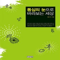 NSB9788957982655 새책-스테이책터 [동심의 눈으로 바라보는 세상] --아동청소년문학도서관 8-푸른책들-황수대 지음-평론-20110225 출간, 동심의 눈으로 바라보는 세상