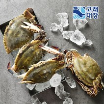 [고래대장] 신진도 직송 활 암꽃게 1kg /2kg /대 봄제철 활꽃게, 암꽃게 2kg/대, 1개