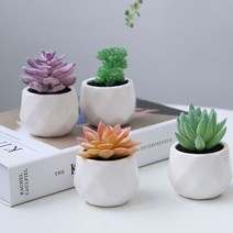 내일의공간 다육이 미니 화분 조화 4종세트, 1개