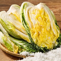 예닮골 해남 절임배추 20kg 정직한절임배추 생산자직송 김장 김치, 02월10일 발송
