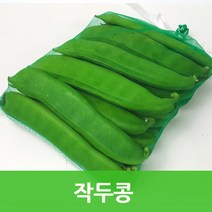 국내산 작두콩 4kg 생작두콩 싱싱지오, 선택하세요, 1개
