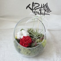 카네이션사선유리볼 테라리움 (틸란드시아 프리저브드플라워 스칸디아모스), 2.레드카네이션