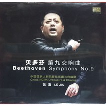 베토벤 교향곡 9번 Beethoven 9 뤼 지아 Lu Jia 지휘 중국국가대극원 오케스트라 2LP 더블앨범 레코드