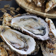 [통영삼공주]각굴(석화) 10kg (가열 후 섭취권장), 1개