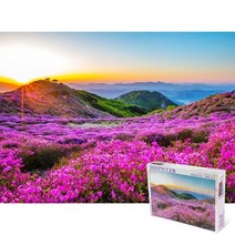퍼즐피플 풍경 랜드마크 500피스 직소퍼즐, 황매산 철죽 500피스, 퍼즐유액 포함, 500p