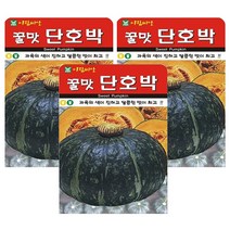 꿀맛단호박 씨앗 3개입, 1개