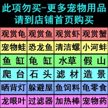 가정용수족관 작은 거북이 항아리 전용 항아리 브라질 거북이 조경 벨트 건조대 빌라 사육 가정용 생태 항아리 구매-10859, 옵션11