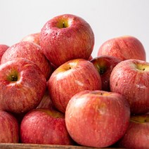 산지직송 밀양 얼음골 못난이 사과 10kg 40-46과 가정용