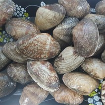 통큰수산 바지락 1kg