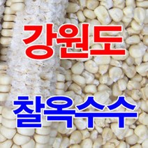 우리네농산 강원도 정선 건조 옥수수 햇볕에 잘 말린 찰옥수수 5kg 뻥튀기 옥수수차 깨끗이 선별된 잘마른 찰옥수수알, 1개