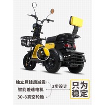 삼륜자전거 성인용3발자전거 어르신 전동 성인용 노인자전거 3륜자전거 여성 및 소형 소형 노인 배터리 노인을 위한 전기 를 태우고 내릴 수 있는 창고가 있는 전기, 48V 베어 카 배터리 충전기 없음-모터 없음-우, 48V