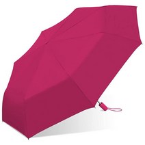 Weather Station 우산 자동 접이식 우산 방풍 경량 및 여행에 휴대 가능 풀 106.7cm(42인치) 아크 퍼플 퍼플.