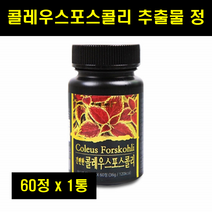 콜레우스 포스콜리 추출물 콜레우스 포스 추출 정 60정 1통