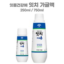 동화약품 잇치 가글 무알콜 입냄새 구취 제거 구강청결제 잇몸관리 가글액 250ml 750ml, 잇치 가글액750ml
