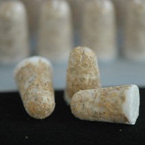 느타리버섯종균(성형종균)5팩기본-52년전통 종자업등록업체 삼구농원 느타리버섯종균(성형)5팩, 9팩