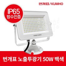 금호전기 번개표 LED 투광기 투광등 50W IP65 백색, 1개, 주광색