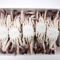 냉동숫꽃게라운드(중국산)4kg 200g~300g(15~16미내외), 4kg(200g~300g)