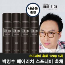헤어리치 박명수 스프레이흑채 120g 4개, 흑색