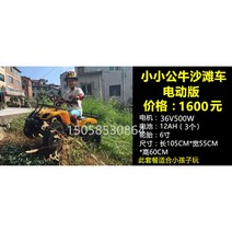 사륜오토바이 사발이 전지형 제주도액티비티 산악 4Cal ATV, 꼬마 황소 비치카 세트 1 (어린이용)