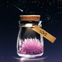 LED 유리병 수정 키우기 무드등 만들기 사이언스 초등과학 방과후 학교 교재 수업초등 원리 과학 보석