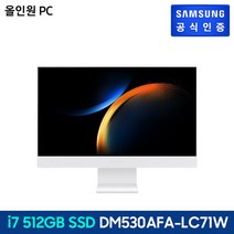 삼성 올인원 60.5 cm Core DM530AFA-LC71W, 상세페이지참조