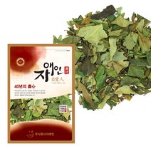 자애인 국산 황칠나무잎 600g 건조 황칠잎 황칠차 전남완도, 단품