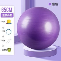 짐볼 필라테스 볼 요가 쉐이핑 피트니스 체조 스위스 어린이용 밸런스 25Cm 공장 직판, 14 65Cmyogaballpurpleco