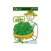 [한국원예자재] 새싹채소 청경채싹 씨앗