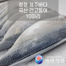 [무진물산] 제주 간고등어 10마리 대사이즈 3.2kg 부산 자반 고갈비 구이 (냉동), 3마리