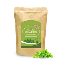 닥터소이지 레몬밤추출분말 120g, 1개