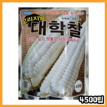 대학찰옥수수 씨앗 4500립 씨 씨앗 종자 연농1호 대용량 찰옥수수씨앗 옥수수 종자, 대학찰옥수수씨앗 4500립