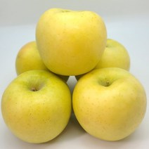 [신 품종] 고당도 시나노골드 황금 사과, 1. 가정용(흠과) 2KG 소과 7~10과