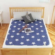 NEW 한일 전기요 전기매트 소형 1인용 전기장판 블루스타 소형, 중형