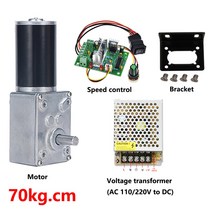 오토바이 소형 엔진 모터 스타트 3.4-70kg DC 12V 24V 감소 모터 대형 토크 고출력 웜 기어 역방향 회전, 02 12V 10rpm, 02 Package B