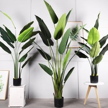 여인초 극락조 대형 조화 실내 인테리어 인조 나무, 여인초 80cm 조화