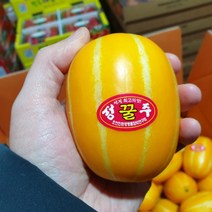 산지직송 성주 참외 정품 선물용 1.5kg 고당도 꿀참외 최대 19브릭스, 정품 대과 (3~4과)