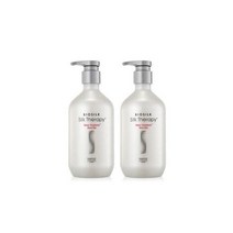 실크테라피 샤인 트리트먼트 로즈힙 500ml 2개