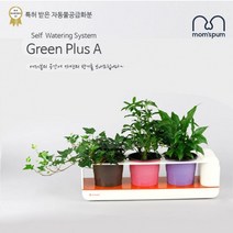 쭈비plamtree★맘스품 무동력 자동급수시스템화분( 3 pot ))(_화분만) 무동력 물순환 화분 쿠아리 플라스틱화분 컬러화분 미니화분 인테리어화분 공기정화식물 플+Jjubiii, ♥myHoney-쇼핑