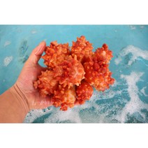 남해안 통영 제철 활멍게 깐멍게 대자 사이즈 500g 1kg 2kg, 깐멍게 1kg
