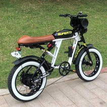 지디 이찬혁 전기 자전거 스쿠터 펫바이크, 상세 페이지 참고, 화이트 RX 18Ah/70-80km