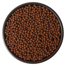 케이웰니스 계피 환 시나몬 환 1.2kg 계피환 시나몬환 건강환, 1개, 1kg