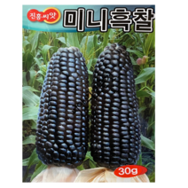 미니흑찰 옥수수씨앗 30g 재래토종 옥수수종자 진흥종묘, 1개