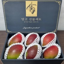 수입 브라질 애플망고 6과 9과 선물세트, 애플망고 9과 선물세트 보자기포장