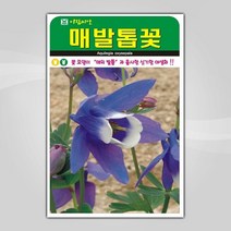 슬로시 꽃 씨앗 모음 꽃씨 허브 허브씨, 매발톱꽃500립(아람)