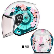 아라이 st 헬멧 VZ RAM 슈퍼커브 TT CO 티티앤코 소두핏 베스파 할리 데이비슨 그래픽 헬멧 모음, AH