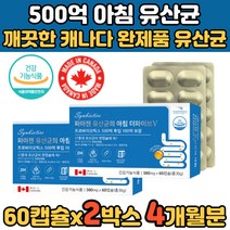 500억 장내유익균 엘지지 비피더스 임신 산모 유산균 아침 공복 오전 락토바실러스 람로서스 LGG 엘지지 람서스 람노서스 불가리쿠스 카제이 헬베티쿠스 서머필루스 스트렙토코쿠스