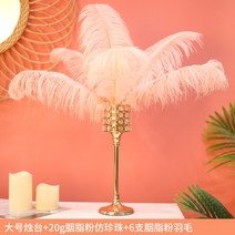 거실 식탁 크리스탈 캔들 홀더 깃털 장식 장식품 촛불 저녁 식사 소품 북유럽 아름다움-24869, 옵션21