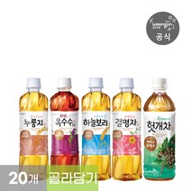 차음료 6종 모음 200mL 500mL 페트 20개 (하늘보리 유기농하늘보리 옥수수수염 광명찾은결명자 누룽지 헛개차), 05.광명찾은결명자차 500ml x 20