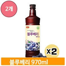 감식초 블루베리 원액 970mlx2 베이스 음료 요거트